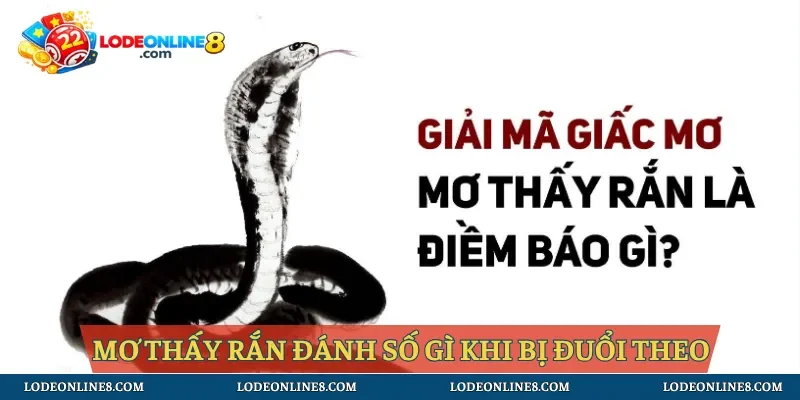Giải mã khi thấy rắn đuổi bản thân 