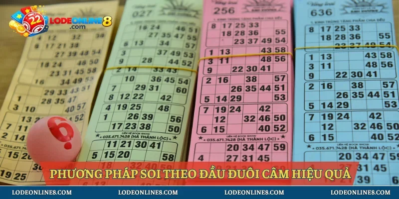 Phương pháp soi theo đầu đuôi câm hiệu quả